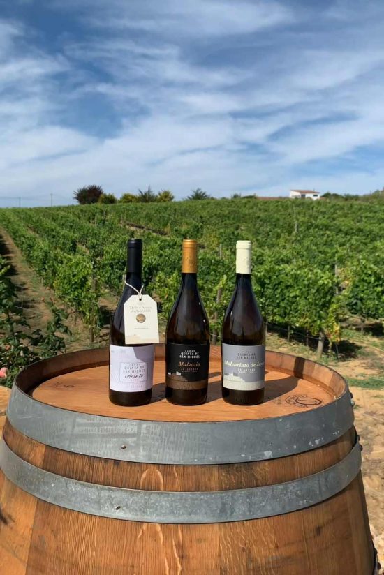 walk-and-wine-hiking-and-wine-tasting-in-sintra