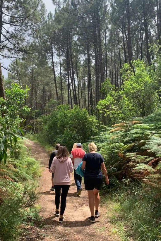 walk-and-wine-hiking-and-wine-tasting-in-sintra